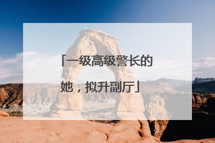 一级高级警长的她，拟升副厅
