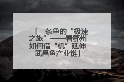 一条鱼的“极速之旅”——看鄂州如何借“机”延伸武昌鱼产业链