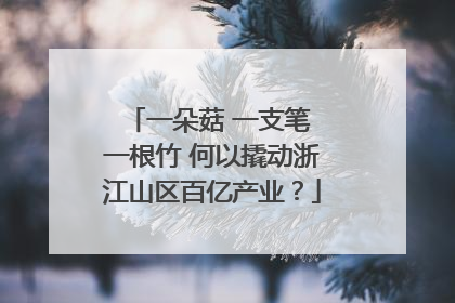 一朵菇 一支笔 一根竹 何以撬动浙江山区百亿产业？