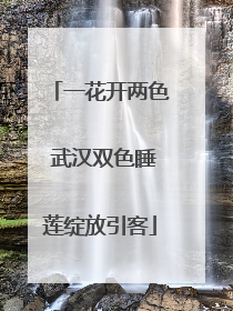 一花开两色 武汉双色睡莲绽放引客