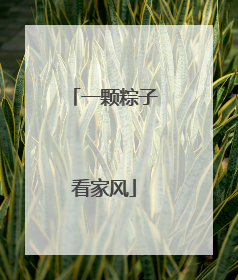 一颗粽子看家风