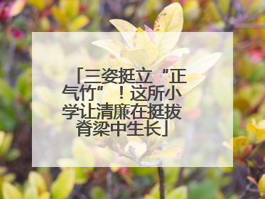 三姿挺立“正气竹”！这所小学让清廉在挺拔脊梁中生长