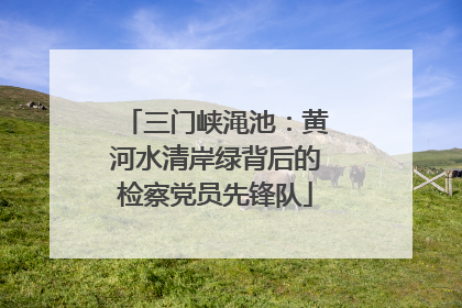 三门峡渑池：黄河水清岸绿背后的检察党员先锋队