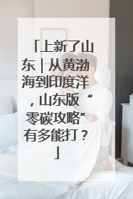 上新了山东｜从黄渤海到印度洋，山东版“零碳攻略”有多能打？