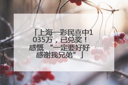 上海一彩民喜中1035万，已兑奖！感慨 “一定要好好感谢我兄弟”