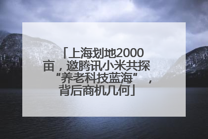 上海划地2000亩，邀腾讯小米共探“养老科技蓝海”，背后商机几何