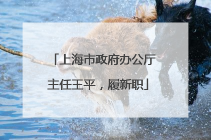 上海市政府办公厅主任王平，履新职