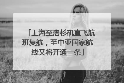 上海至洛杉矶直飞航班复航，至中亚国家航线又将开通一条