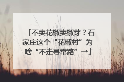 不卖花椒卖椒芽？石家庄这个“花椒村”为啥“不走寻常路”→