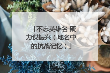 不忘英雄名 聚力谋振兴（地名中的抗战记忆）