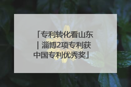 专利转化看山东｜淄博2项专利获中国专利优秀奖