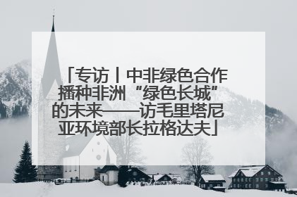 专访丨中非绿色合作播种非洲“绿色长城”的未来——访毛里塔尼亚环境部长拉格达夫