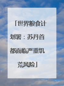 世界粮食计划署：苏丹首都面临严重饥荒风险