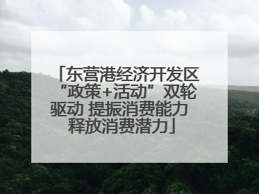 东营港经济开发区“政策+活动”双轮驱动 提振消费能力 释放消费潜力