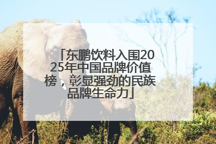 东鹏饮料入围2025年中国品牌价值榜，彰显强劲的民族品牌生命力