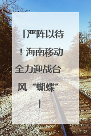 严阵以待！海南移动全力迎战台风“蝴蝶”