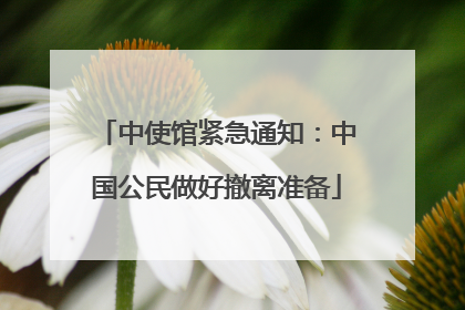 中使馆紧急通知：中国公民做好撤离准备
