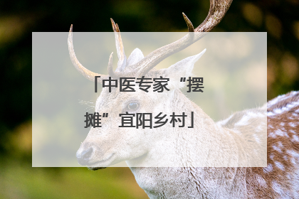 中医专家“摆摊”宜阳乡村