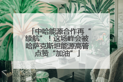 中哈能源合作再“续航”！这场峰会被哈萨克斯坦能源高管点赞“加油”
