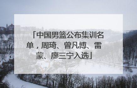 中国男篮公布集训名单，周琦、曾凡博、雷蒙、廖三宁入选