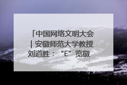 中国网络文明大会｜安徽师范大学教授刘道胜：“E”览徽风，构筑中华民族共有精神家园