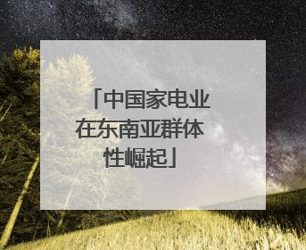 中国家电业在东南亚群体性崛起