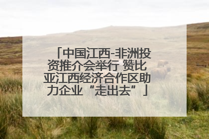 中国江西-非洲投资推介会举行 赞比亚江西经济合作区助力企业“走出去”