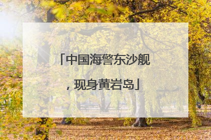 中国海警东沙舰，现身黄岩岛