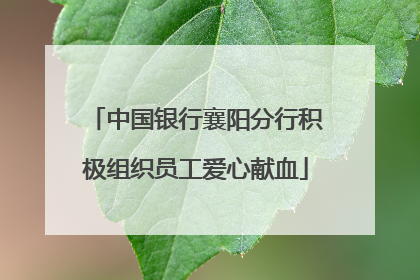 中国银行襄阳分行积极组织员工爱心献血