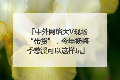 中外网络大V现场“带货”，今年杨梅季慈溪可以这样玩