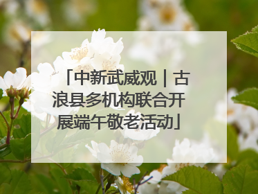 中新武威观｜古浪县多机构联合开展端午敬老活动