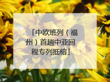 中欧班列（福州）首趟中亚回程专列抵榕