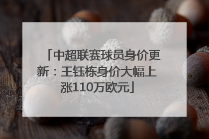 中超联赛球员身价更新：王钰栋身价大幅上涨110万欧元