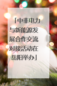 中非电力与新能源发展合作交流对接活动在岳阳举办