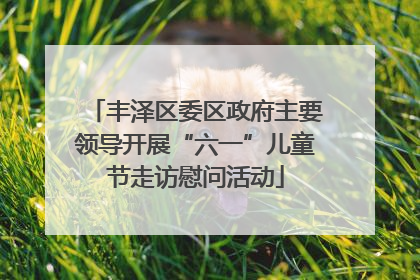 丰泽区委区政府主要领导开展“六一”儿童节走访慰问活动