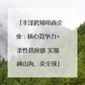 丰泽跨境电商企业：核心竞争力+柔性供应链 实现越山海、卖全球