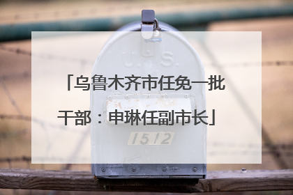 乌鲁木齐市任免一批干部：申琳任副市长