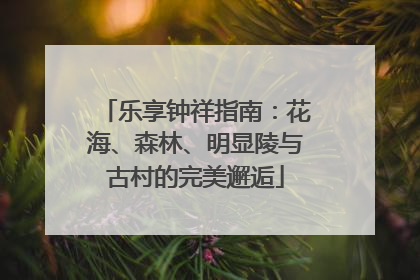 乐享钟祥指南：花海、森林、明显陵与古村的完美邂逅
