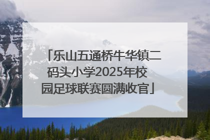 乐山五通桥牛华镇二码头小学2025年校园足球联赛圆满收官