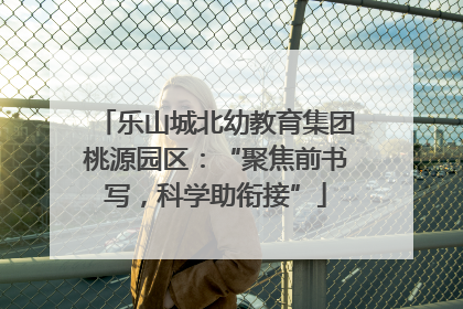 乐山城北幼教育集团桃源园区：“聚焦前书写，科学助衔接”