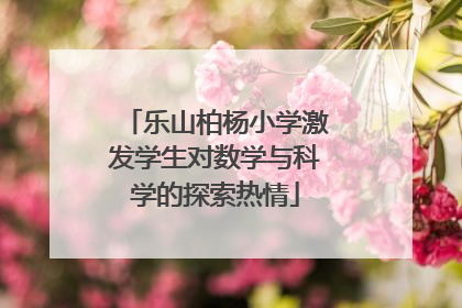 乐山柏杨小学激发学生对数学与科学的探索热情
