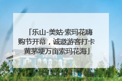 乐山-美姑·索玛花嗨购节开幕，诚邀游客打卡黄茅埂万亩索玛花海