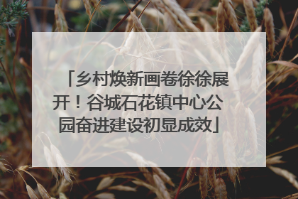 乡村焕新画卷徐徐展开！谷城石花镇中心公园奋进建设初显成效