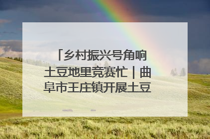 乡村振兴号角响 土豆地里竞赛忙｜曲阜市王庄镇开展土豆收获劳动竞赛