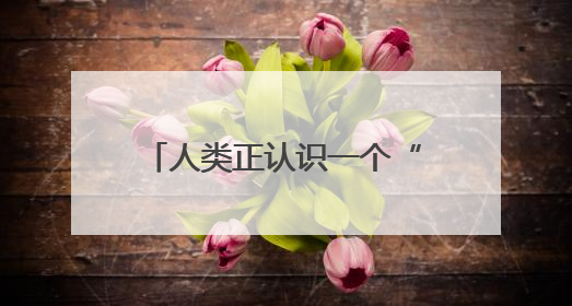 人类正认识一个“全新”的月球！