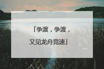 争渡，争渡，又见龙舟竞速