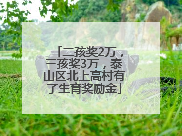 二孩奖2万，三孩奖3万，泰山区北上高村有了生育奖励金