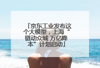 京东工业发布这个大模型，上海“链动众城 万亿降本”计划启动