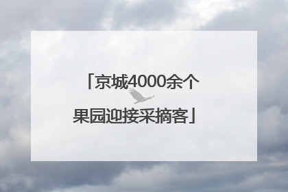 京城4000余个果园迎接采摘客