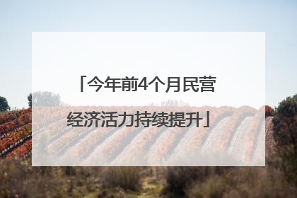 今年前4个月民营经济活力持续提升